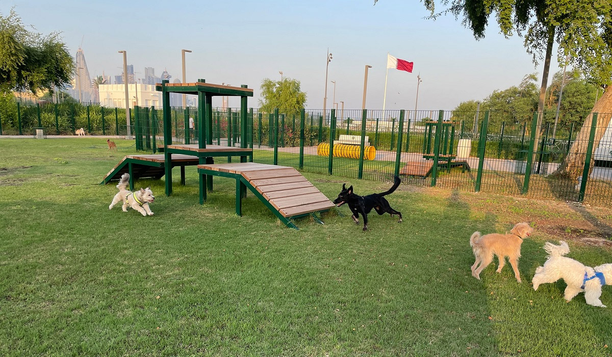 Qatar opens doors to first pet-friendly park